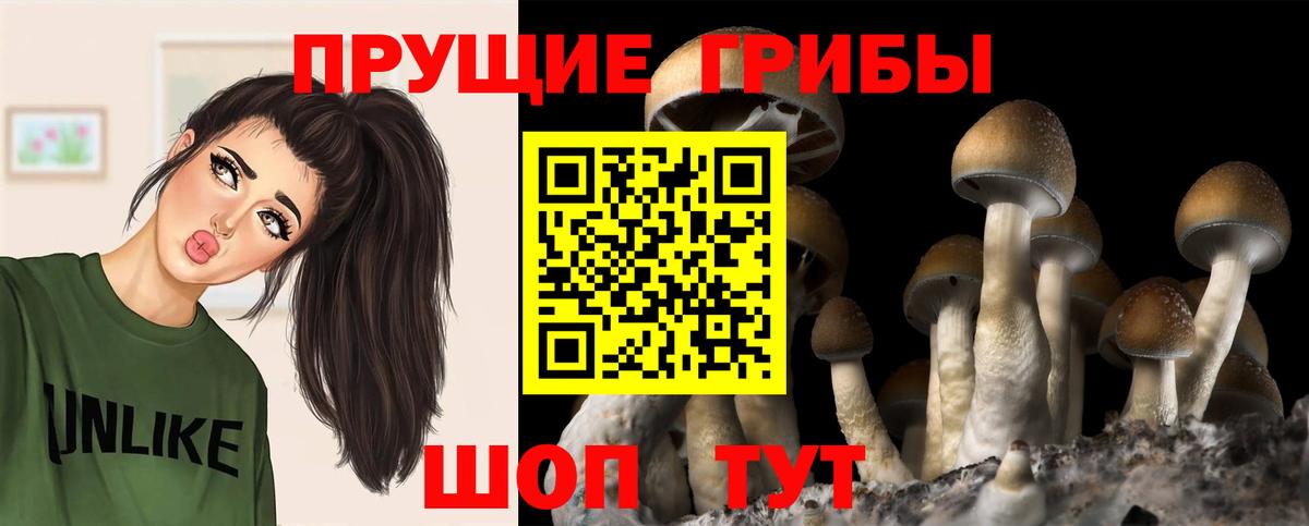 Дедовск  Псилоцибиновые грибы Cubensis  Псилоцибиновые грибы мухоморы  Вход с VPN 